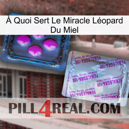À Quoi Sert Le Miracle Léopard Du Miel 37